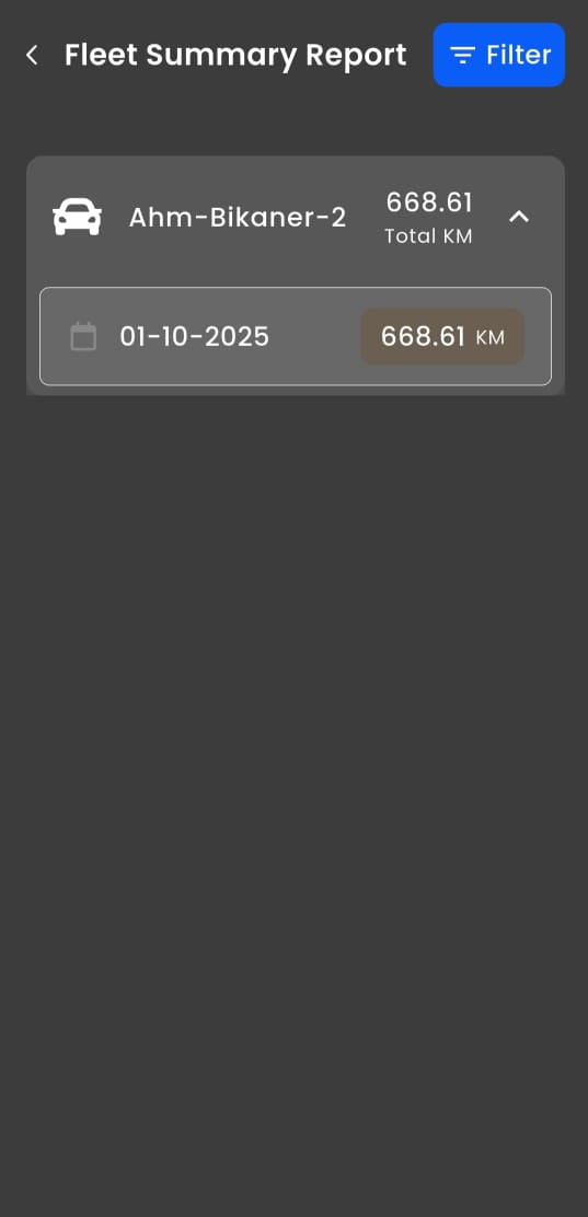 Fleet Summary Report